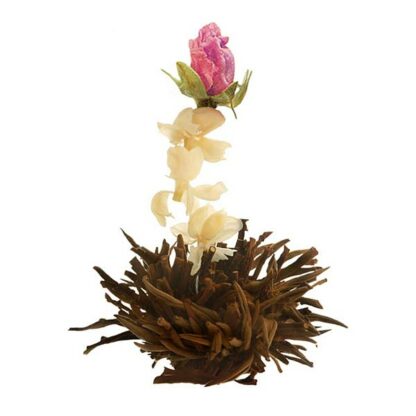 Ein Bild von Creano Tee Blumen 6er Magnetbox "Schwarzer Tee", in der Kategorie Tee Rosen (Bloomings)