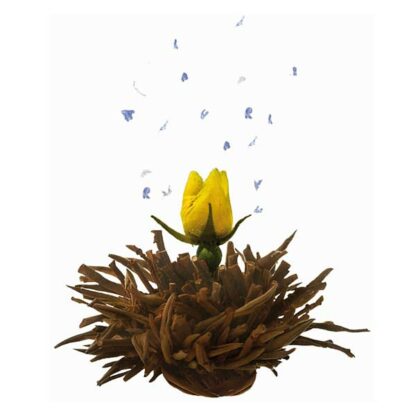 Ein Bild von Creano Tee Blumen 6er Magnetbox "Schwarzer Tee", in der Kategorie Tee Rosen (Bloomings)