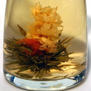 Ein Bild von Fairy Flowers Spreading, in der Kategorie Tee Rosen (Bloomings)
