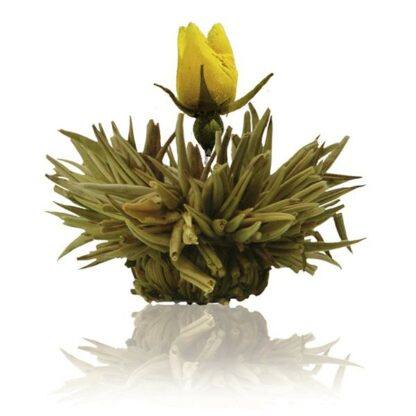 Ein Bild von Tee Blumen Sortiment Creano mit 6 Tee Blumen "Weisser Tee", in der Kategorie Tee Rosen (Bloomings)