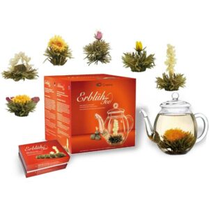Ein Bild von Creano Tee Blumen Geschenkset "Weisser Tee", in der Kategorie Tee Rosen (Bloomings) Tee Geschenk
