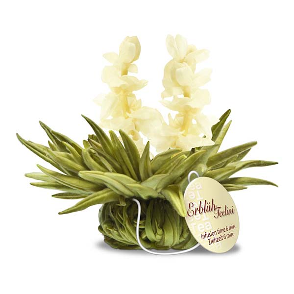 Ein Bild von Creano Teelini Mini-TeeBlumen Geschenkset "Weisser Tee", in der Kategorie Tee Rosen (Bloomings) Tee Geschenk