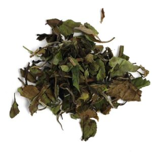 Ein Bild von Pai Mu Tan - Bio, in der Kategorie Grün Tee pur Bio Tee Chinesischer Grüntee Weisser Tee