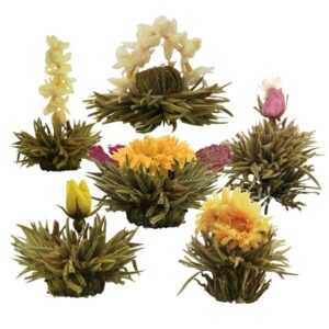 Ein Bild von Tee Blumen Sortiment Creano mit 6 Tee Blumen "Weisser Tee", in der Kategorie Tee Rosen (Bloomings) Tee Geschenk