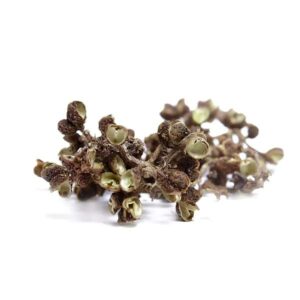 Ein Bild von Andaliman Pfeffer - Bio - Dose a 25g, in der Kategorie Kräuter und Gewürze