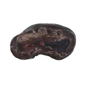 Ein Bild von Cranberries in Zartbitterschokolade, in der Kategorie Nahrungsmittel