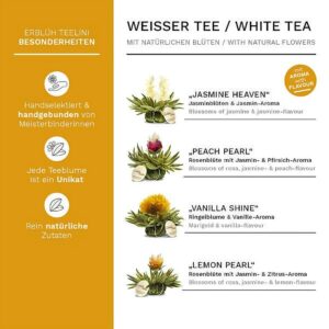 Ein Bild von Creano ErblühTeelini 6er Magnetbox "Weisser Tee", in der Kategorie Tee Rosen (Bloomings) Tee Geschenk