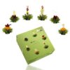 Ein Bild von Creano Tee Blumen 6er Box "Grüner Tee", in der Kategorie Tee Rosen (Bloomings) Tee Geschenk