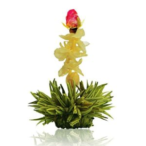 Ein Bild von Creano Tee Blumen 6er Box 