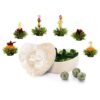 Ein Bild von Creano Tee Blumen 6er Herz-Holzschachtel "Grüner Tee", in der Kategorie Tee Rosen (Bloomings) Tee Geschenk