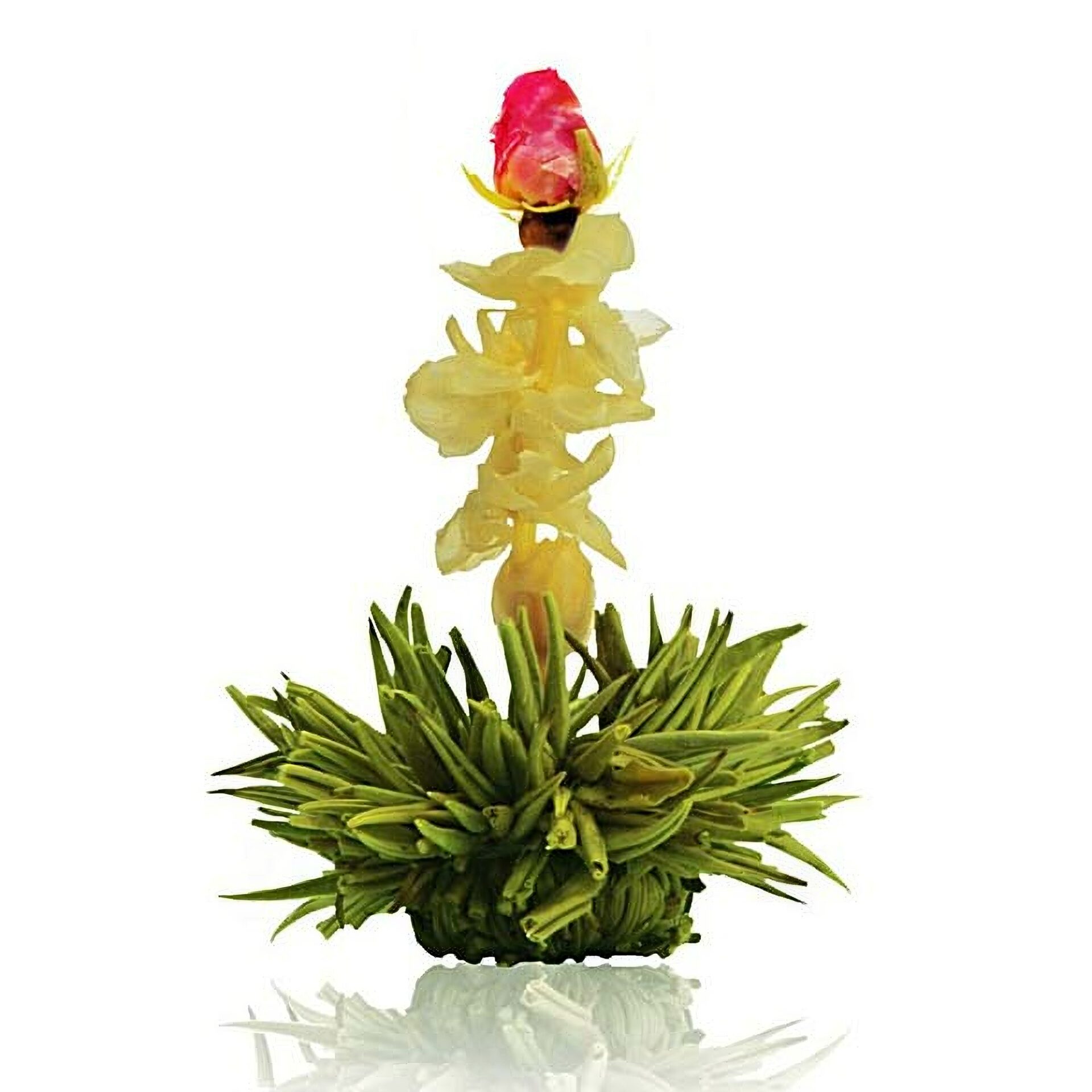 Ein Bild von Creano Tee Blumen 6er Herz-Holzschachtel "Grüner Tee", in der Kategorie Tee Rosen (Bloomings) Tee Geschenk