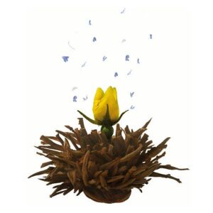 Ein Bild von Creano Tee Blumen 6er Magnetbox 