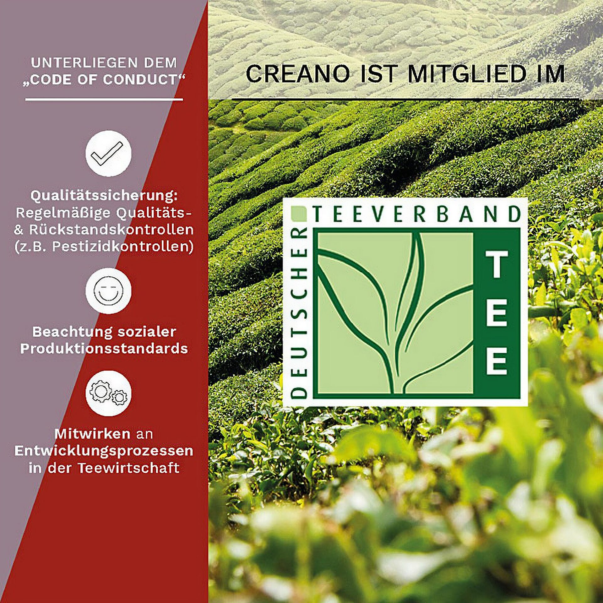 Ein Bild von Creano Tee Blumen 6er Magnetbox "Weisser Tee" und "Schwarzer Tee", in der Kategorie Tee Rosen (Bloomings)