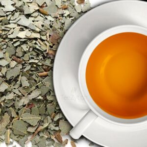 Ein Bild von Eukalyptusblätter geschnitten, in der Kategorie Kräutertee und Gewürztee Monokräuter