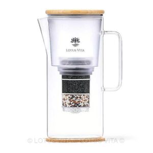 Ein Bild von Glasfilterkanne KATARA, in der Kategorie Teekannen und Teesets Teekanne aus Glas kaufen