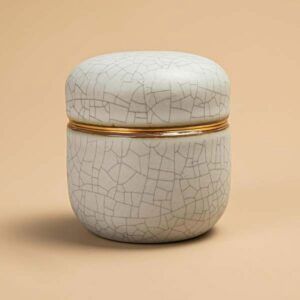 Ein Bild von TEANAGOO Keramik-Matcha-Tee-Behälter - Elfenbeinweiss, in der Kategorie Teedosen