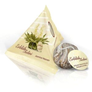 Ein Bild von Teelini Sortiment Creano mit 4 Mini-Tee Blumen "Weisser Tee", in der Kategorie Tee Rosen (Bloomings) Tee Geschenk