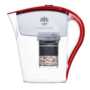 Ein Bild von NATURA PLUS® Filterkanne FAMILY - Rot, in der Kategorie Teekannen und Teesets