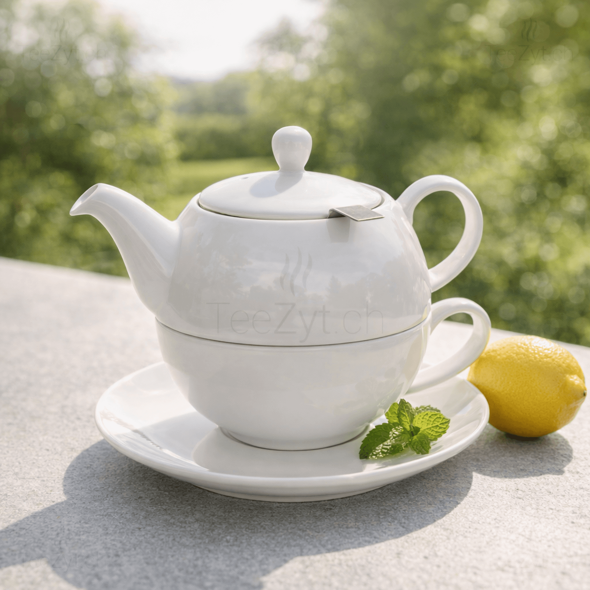 Ein Bild von Tea-for-one - Merrit 0.5l, in der Kategorie Teekannen und Teesets