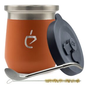 Ein Bild von Yerba Mate Set Terolid Dualflow Pro von Un Mate - Rot, in der Kategorie Teezubehör Bombilla Mate Zubehör Calabasa (Mate-Becher)